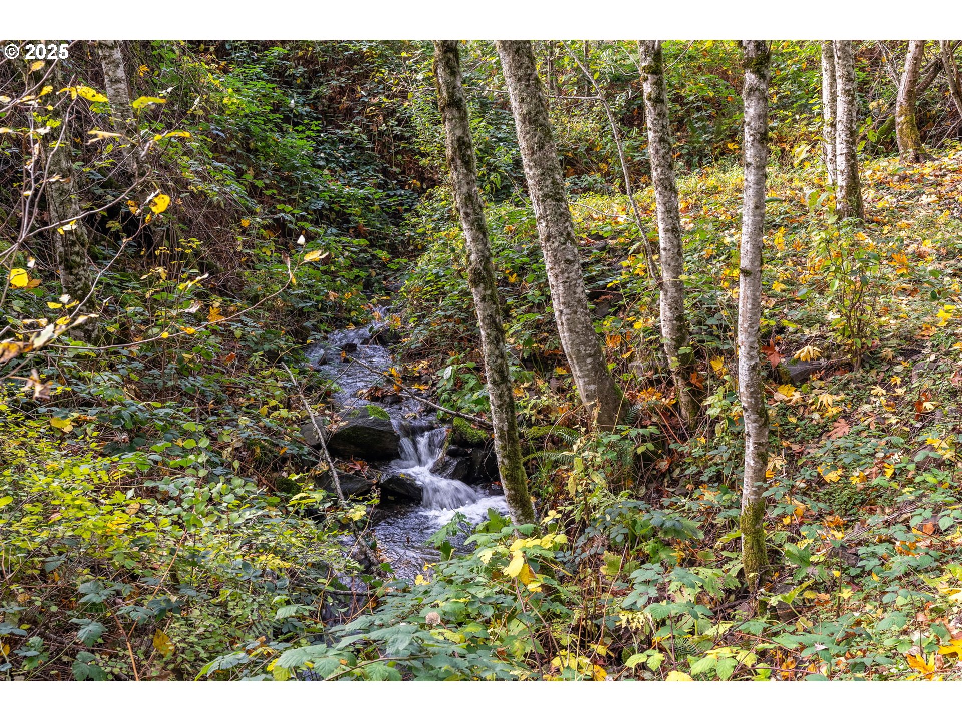 372 Wind Mountain Road Stevenson, WA 98648 - Photo 26 of 34