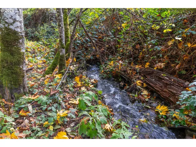 $475,000 | 372 Wind Mountain Road, Stevenson, WA 98648