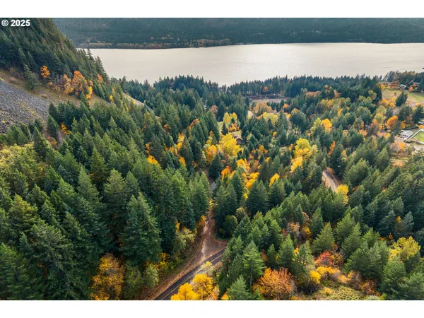 $475,000 | 372 Wind Mountain Road, Stevenson, WA 98648