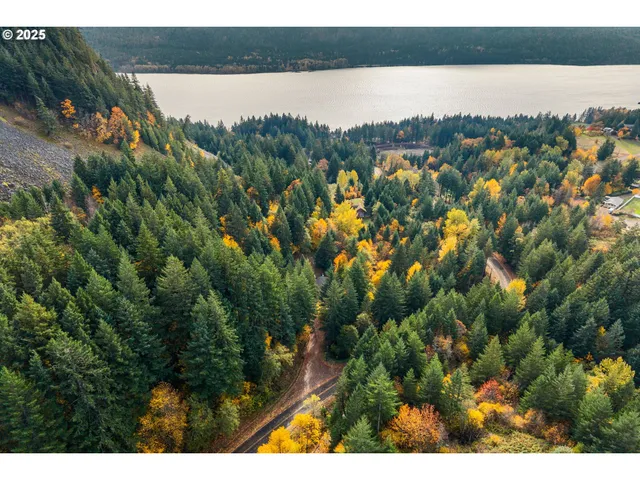 $475,000 | 372 Wind Mountain Road, Stevenson, WA 98648