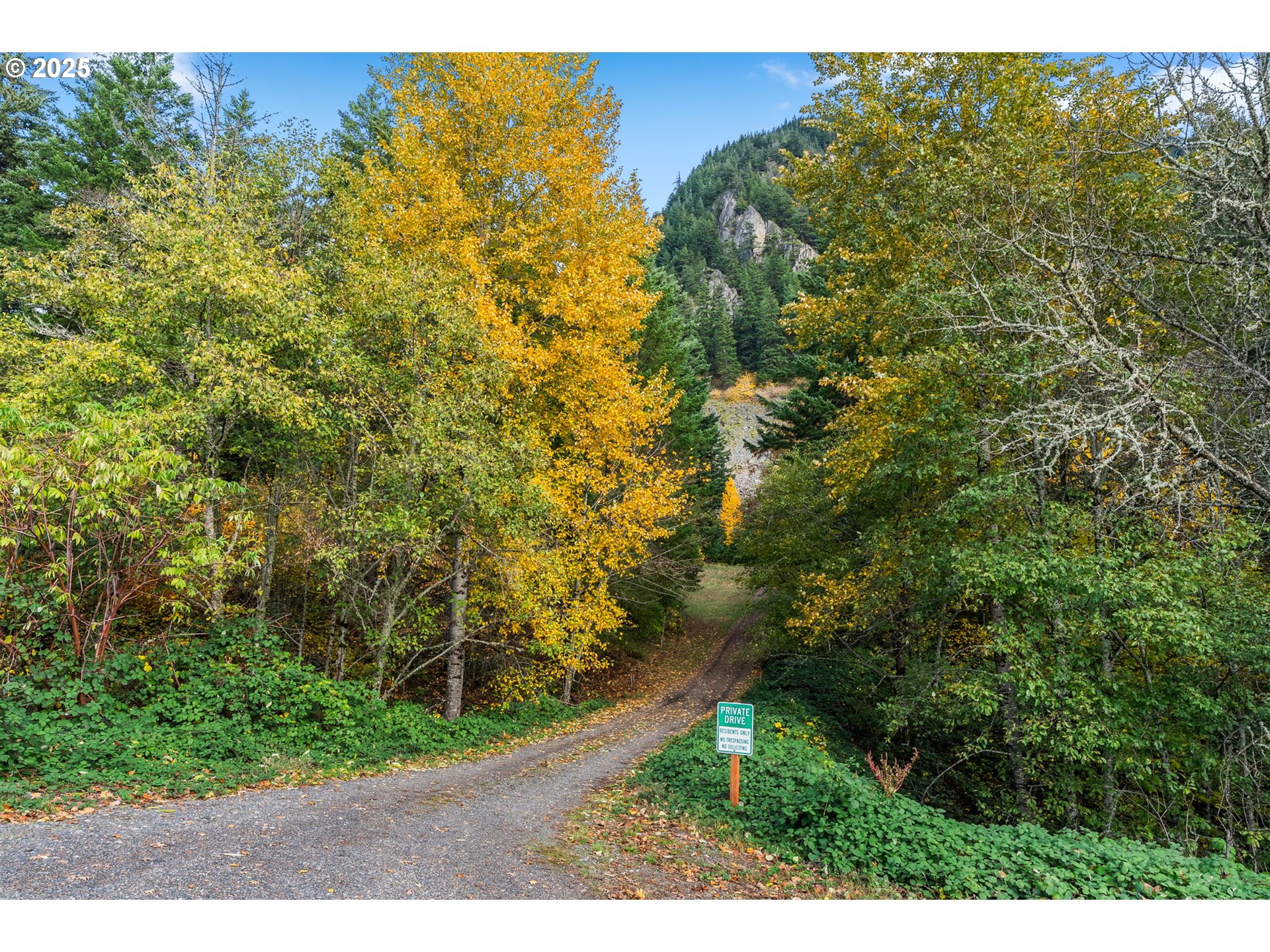 372 Wind Mountain Road Stevenson, WA 98648 - Photo 4 of 34