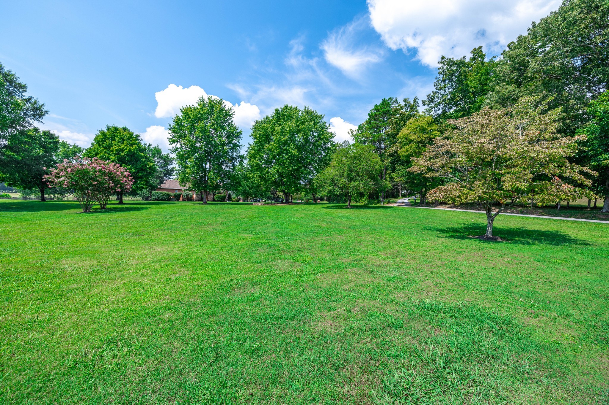 232 Trice Road Lebanon, TN 37087 - Photo 8 of 43 a backyard of a house with lots of green space