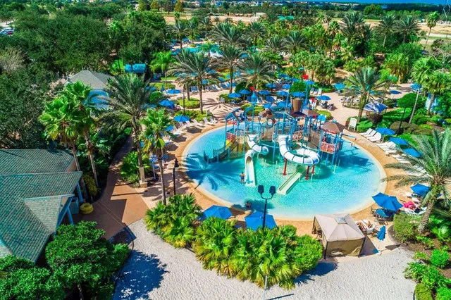 a view of a swimming pool with palm trees