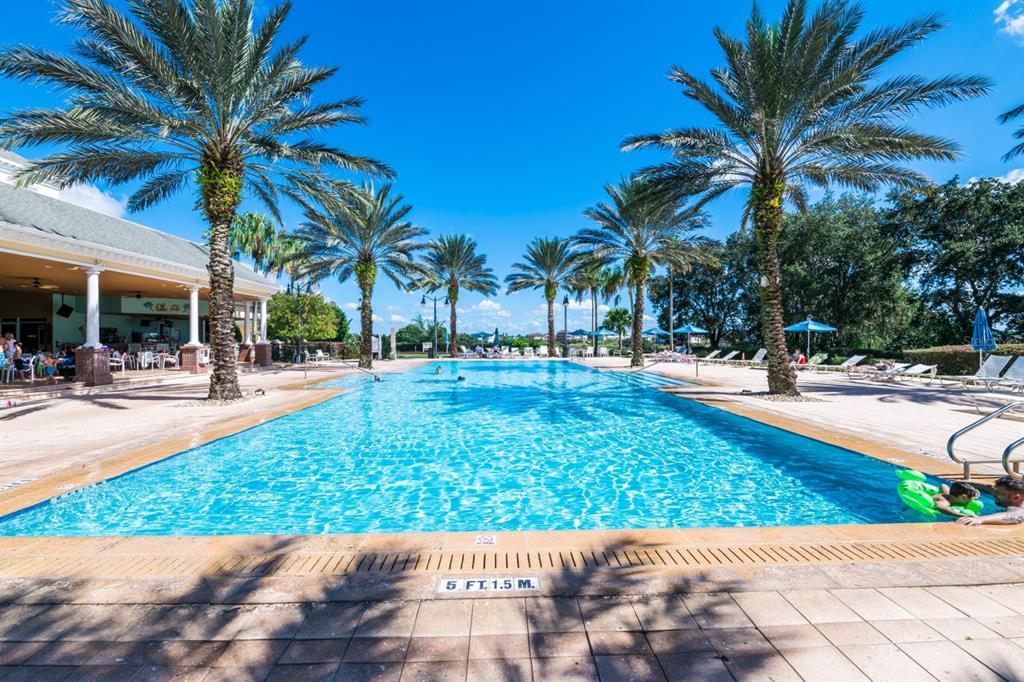 743 Driving Range Court Reunion, FL 34747 - Photo 37 of 38 a view of a swimming pool with palm trees