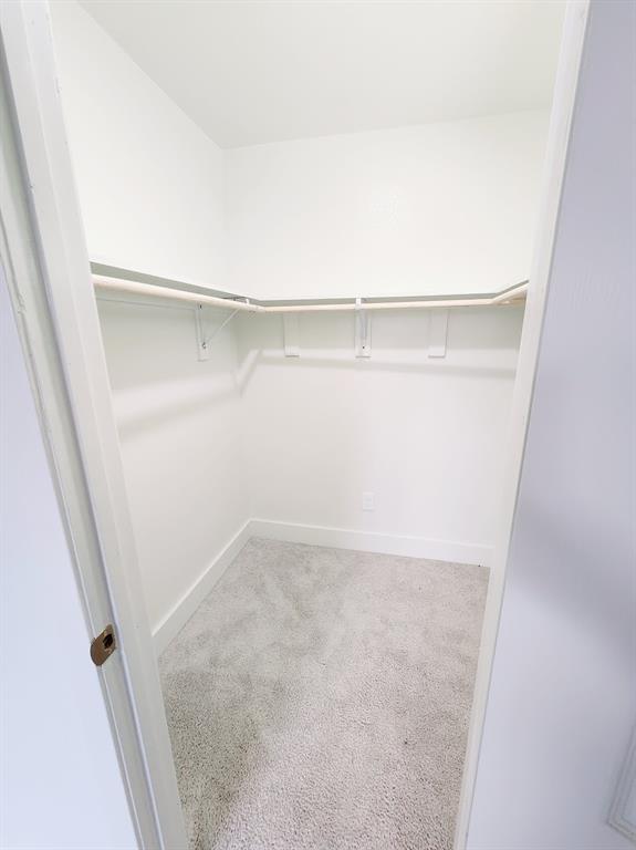 2908 Washington Street Commerce, TX 75428 - Photo 24 of 29 Walk-in closet featuring light-colored carpeting, white walls, white baseboards, and built-in shelving with hanging rods