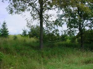 Briggs Road Quincy, MI 49082 - Photo 1 of 1 Primary Photo