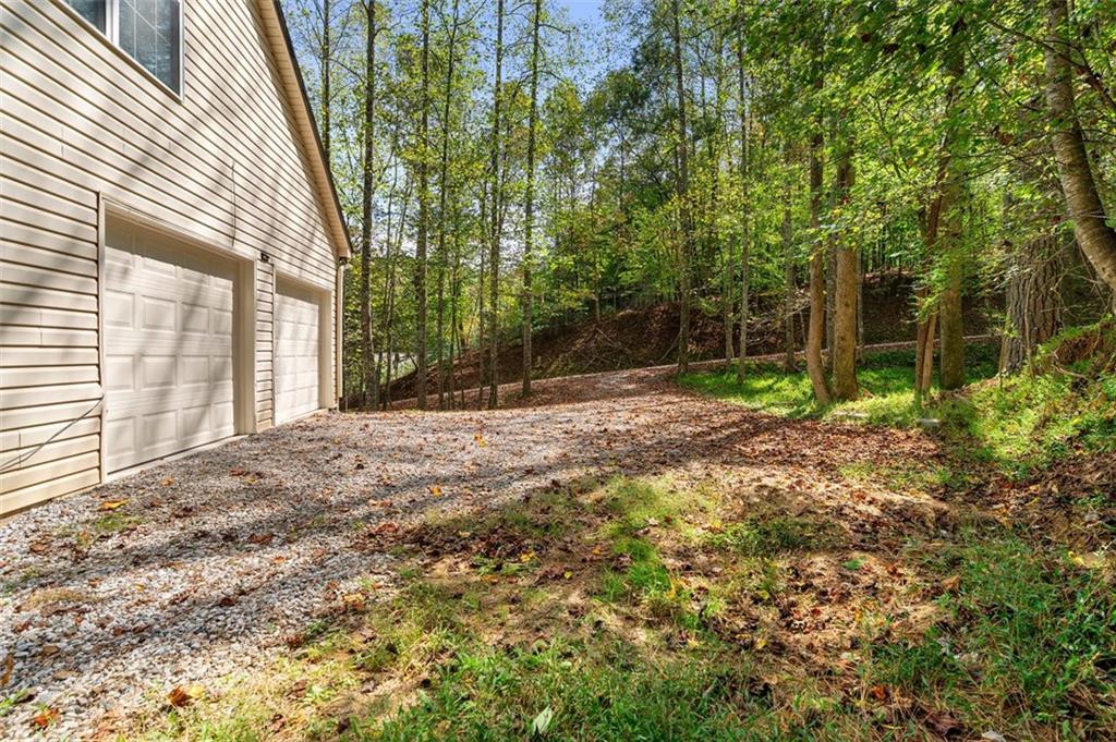 80 Castle Court Ellijay, GA 30540 - Photo 33 of 37 a view of a yard with plants and large trees
