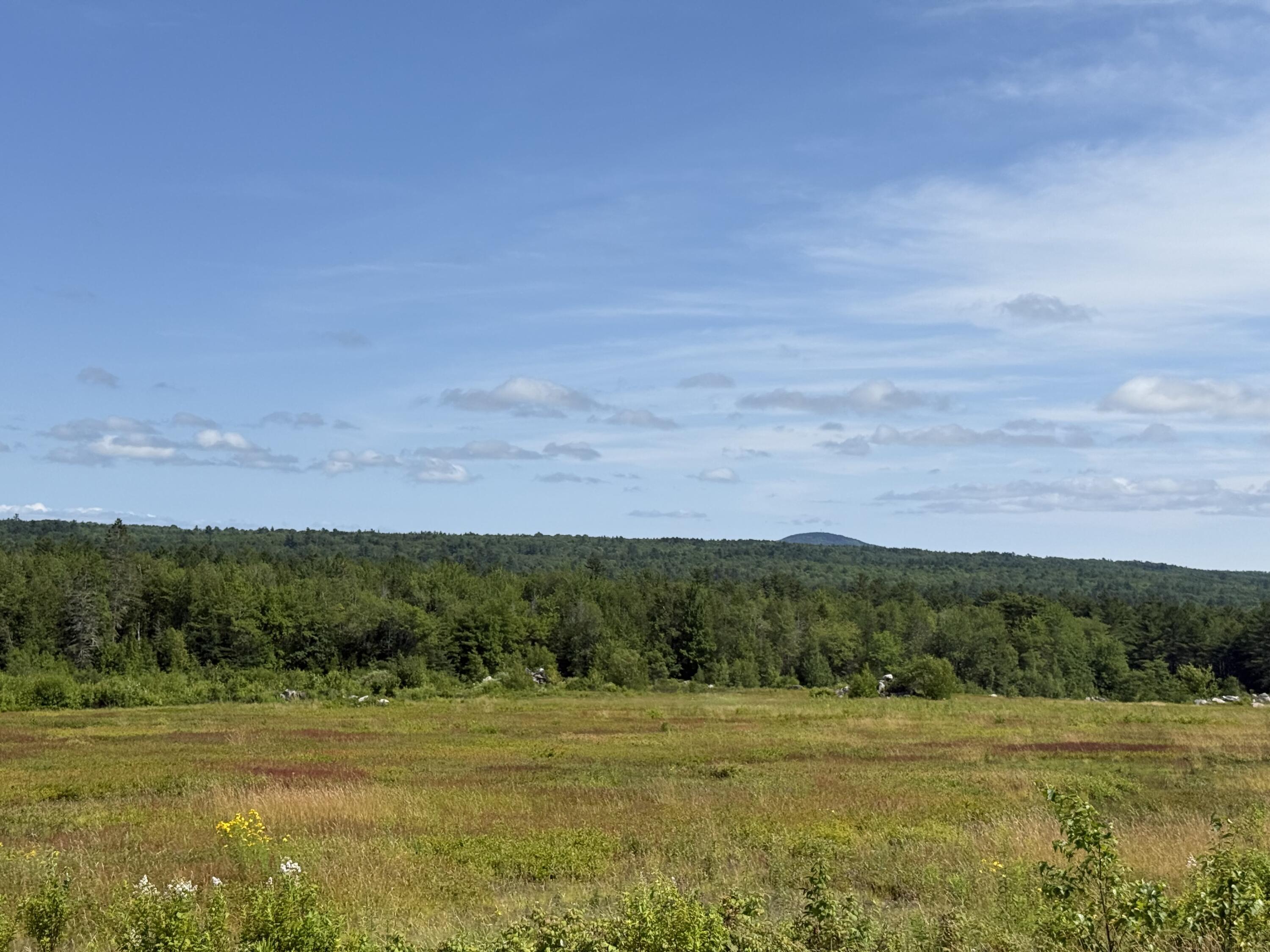 199 Rte Penobscot Me 04476 Route Penobscot, ME 04476 - Photo 23 of 37 MAP13LOT21 Route 199