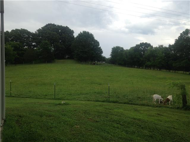 2061 Bell Road Watertown, TN 37184 - Photo 5 of 15 Bring the horses