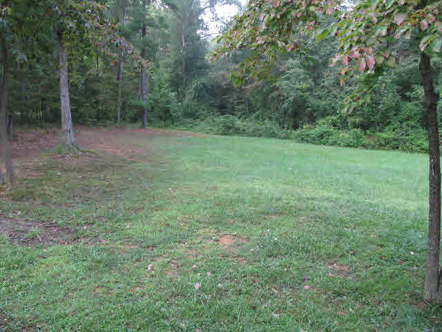 1136 Clearview Road Luray, VA 22835 - Photo 3 of 6 Gallery Image 3