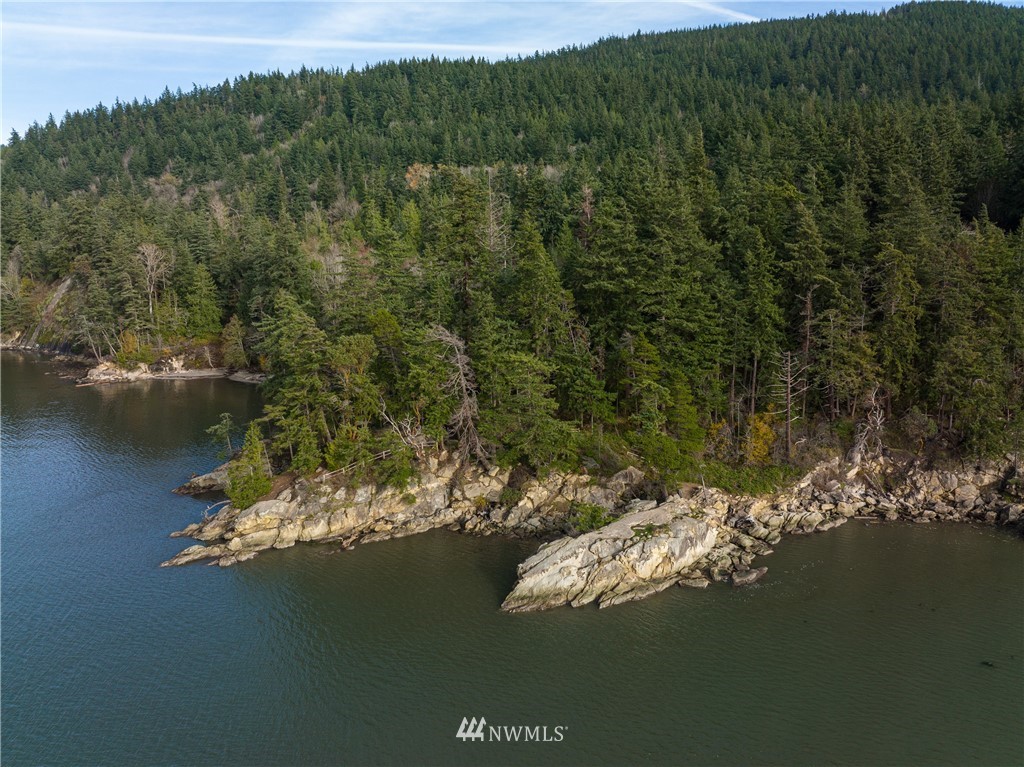 340 Cove Road Bellingham, WA 98229 - Photo 39 of 40 a view of a lake in middle of forest