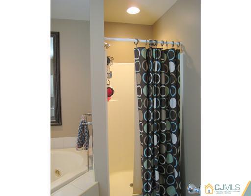5 Old Ridge Road Monmouth Junction, NJ 08852 - Photo 15 of 24 a bathroom with a bathtub and a shower