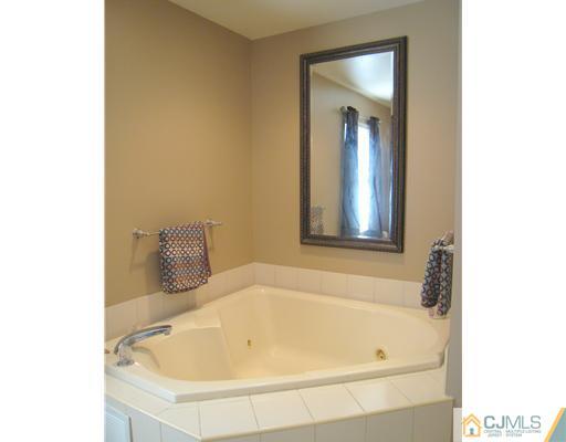 5 Old Ridge Road Monmouth Junction, NJ 08852 - Photo 16 of 24 a bathroom with a bathtub and a sink