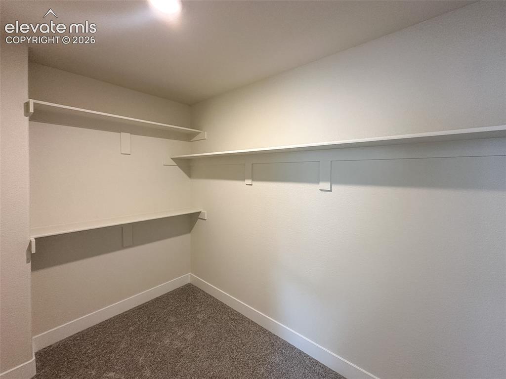 8214 Lemon Grass Road Falcon, CO 80831 - Photo 23 of 41 Dual primary closets