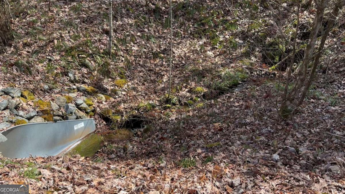 66 St. Andrews Way Jasper, GA 30143 - Photo 10 of 11
