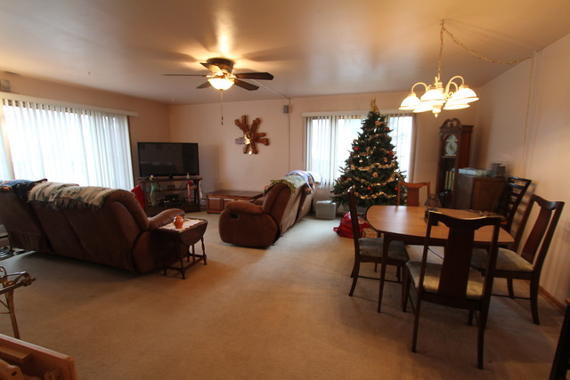 407 South Hamilton Street Lockport, IL 60441 - Photo 5 of 17
