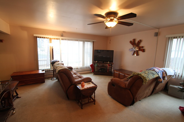 407 South Hamilton Street Lockport, IL 60441 - Photo 7 of 17