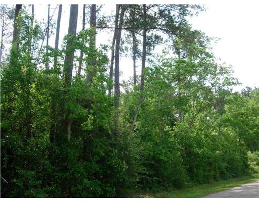 0 Narrow Road Covington, LA 70435 - Photo 1 of 1 Gallery Image 1