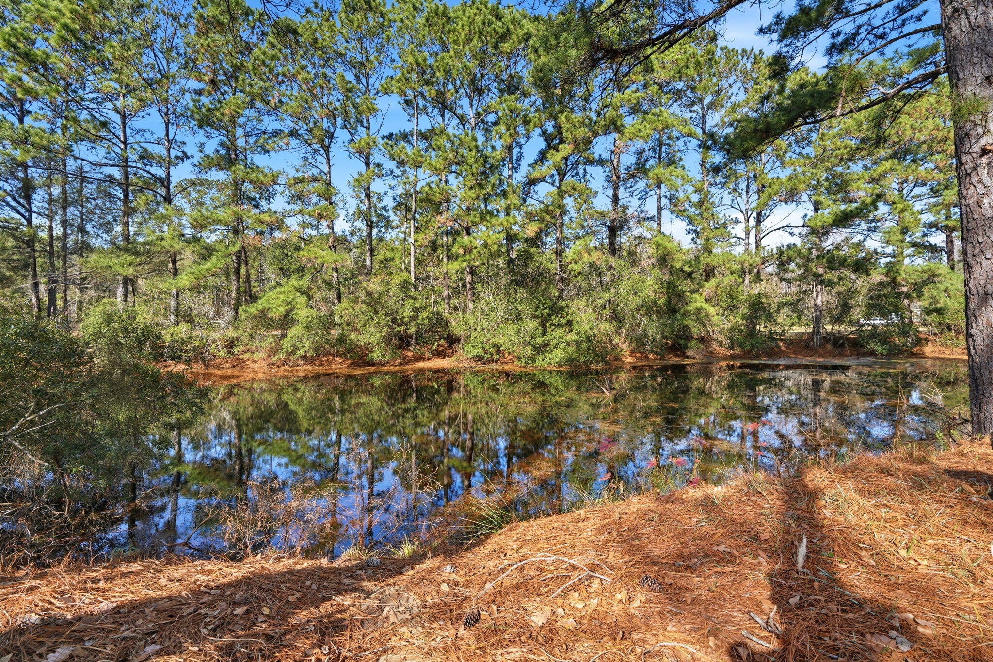 2156 Andover Way Mount Pleasant, SC 29466 - Photo 38 of 42 43-web-or-mls-049_DSC03844_1