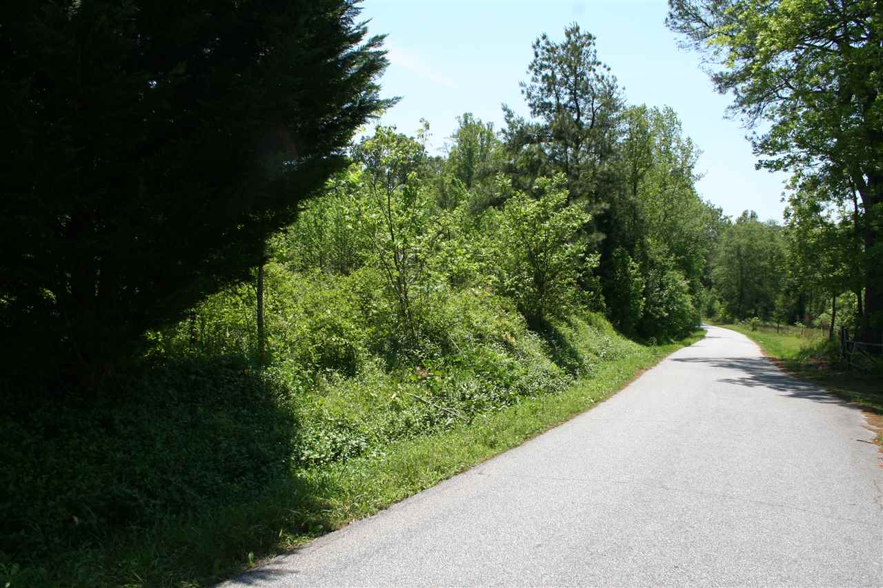 0 Page Road Campobello, SC 29322 - Photo 1 of 8