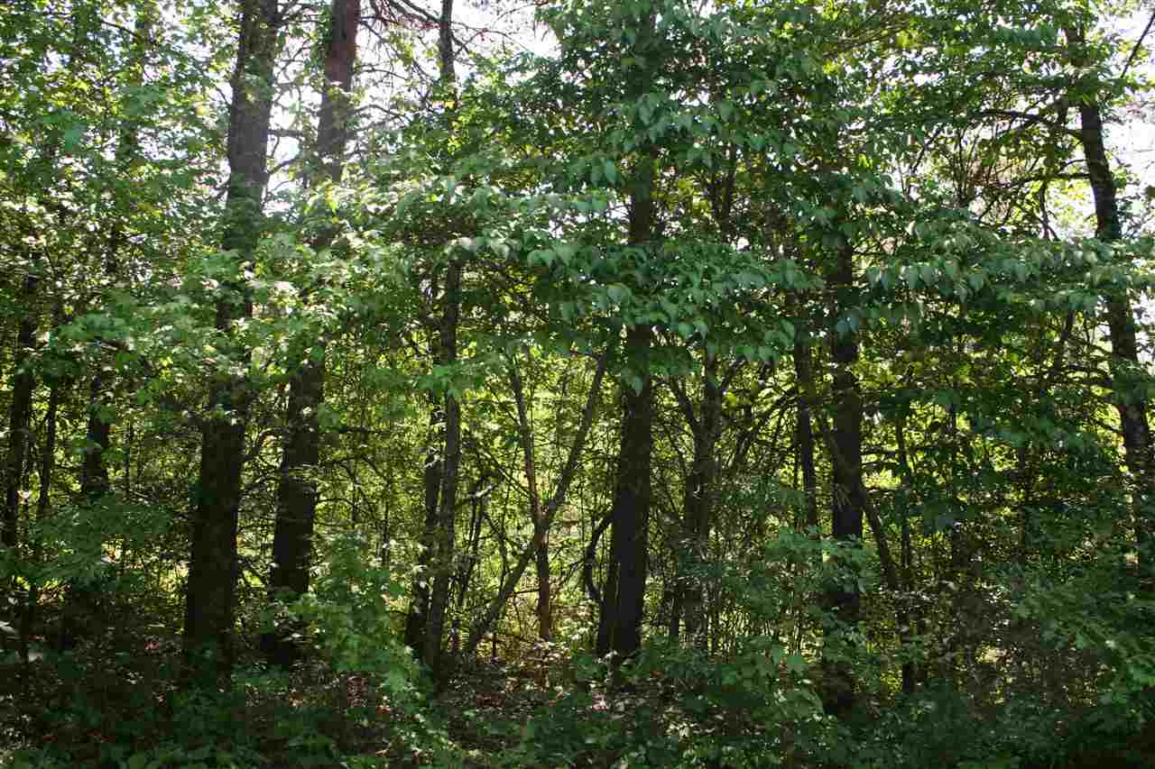 0 Page Road Campobello, SC 29322 - Photo 2 of 8