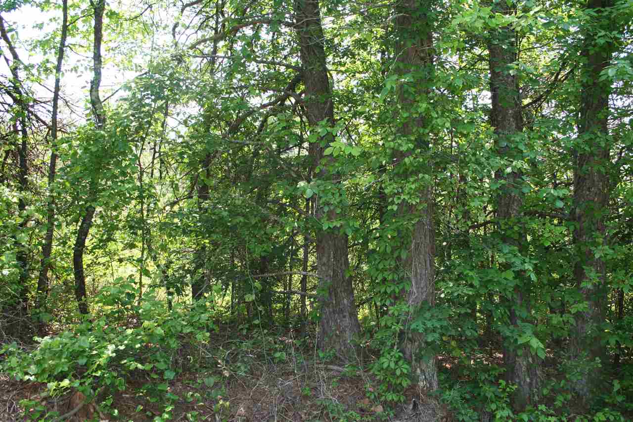 0 Page Road Campobello, SC 29322 - Photo 3 of 8
