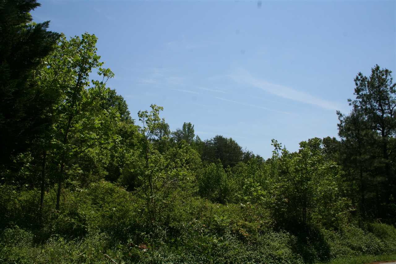 0 Page Road Campobello, SC 29322 - Photo 5 of 8
