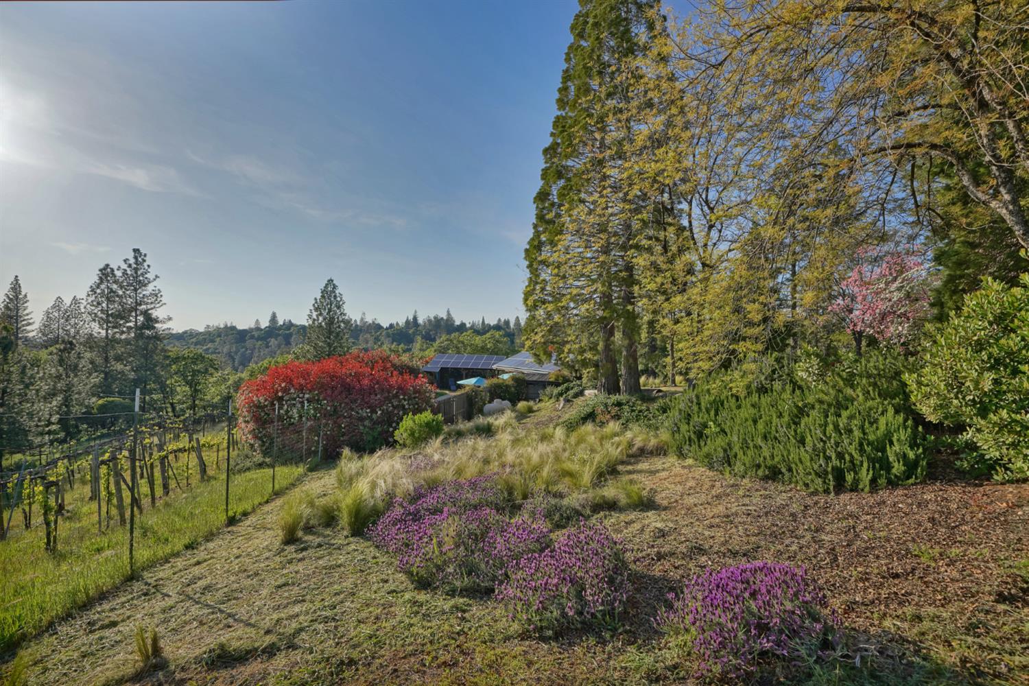 2399 Kingsgate Road Placerville, CA 95667 - Photo 72 of 89