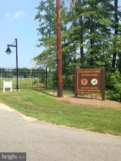 80 Bean Road Dowell, MD 20688 - Photo 6 of 6 a view of a park with a tree