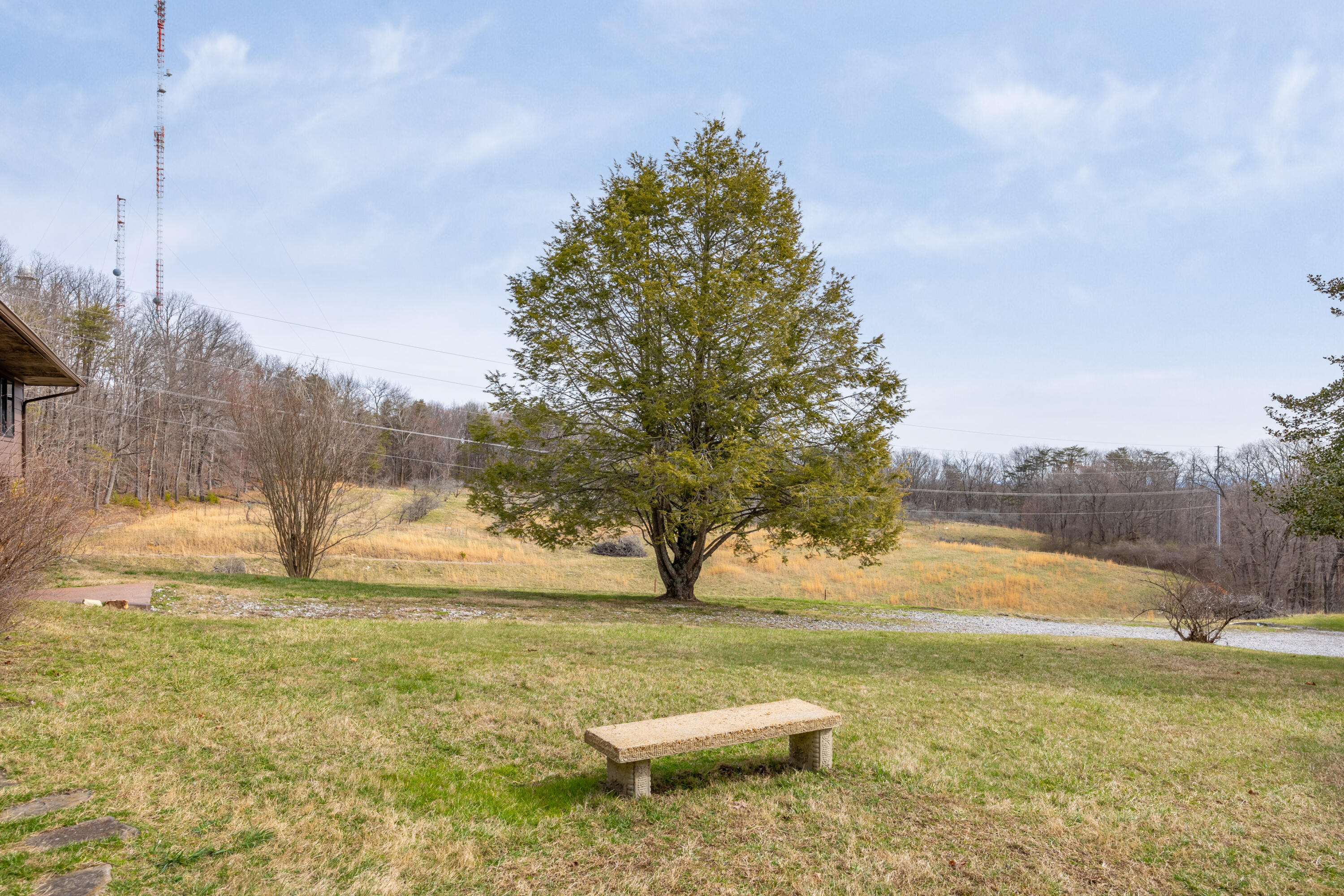 2204 Fairmount Pike Walden, TN 37377 - Photo 11 of 64 Acreage