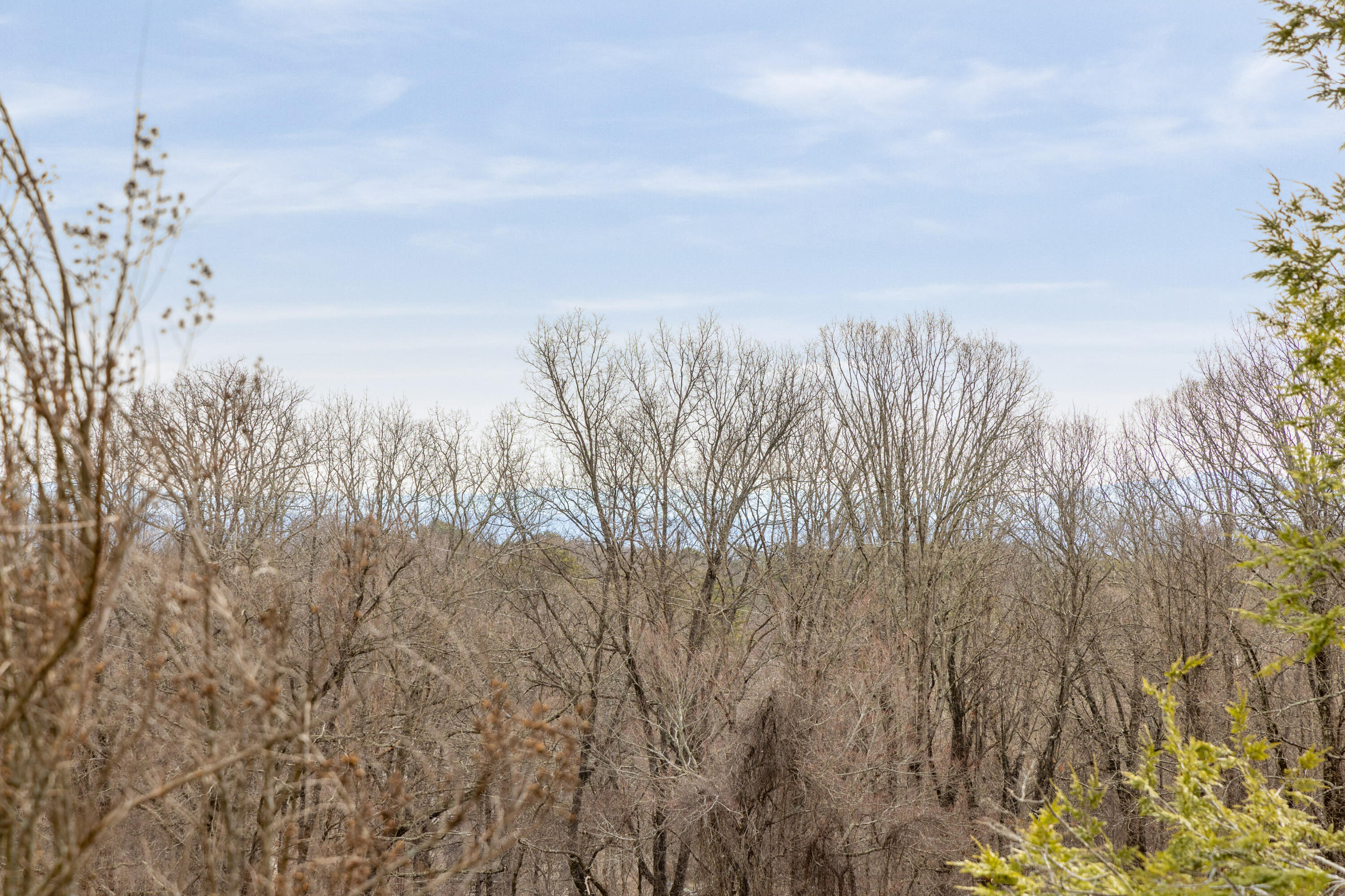 2204 Fairmount Pike Walden, TN 37377 - Photo 12 of 64 Views