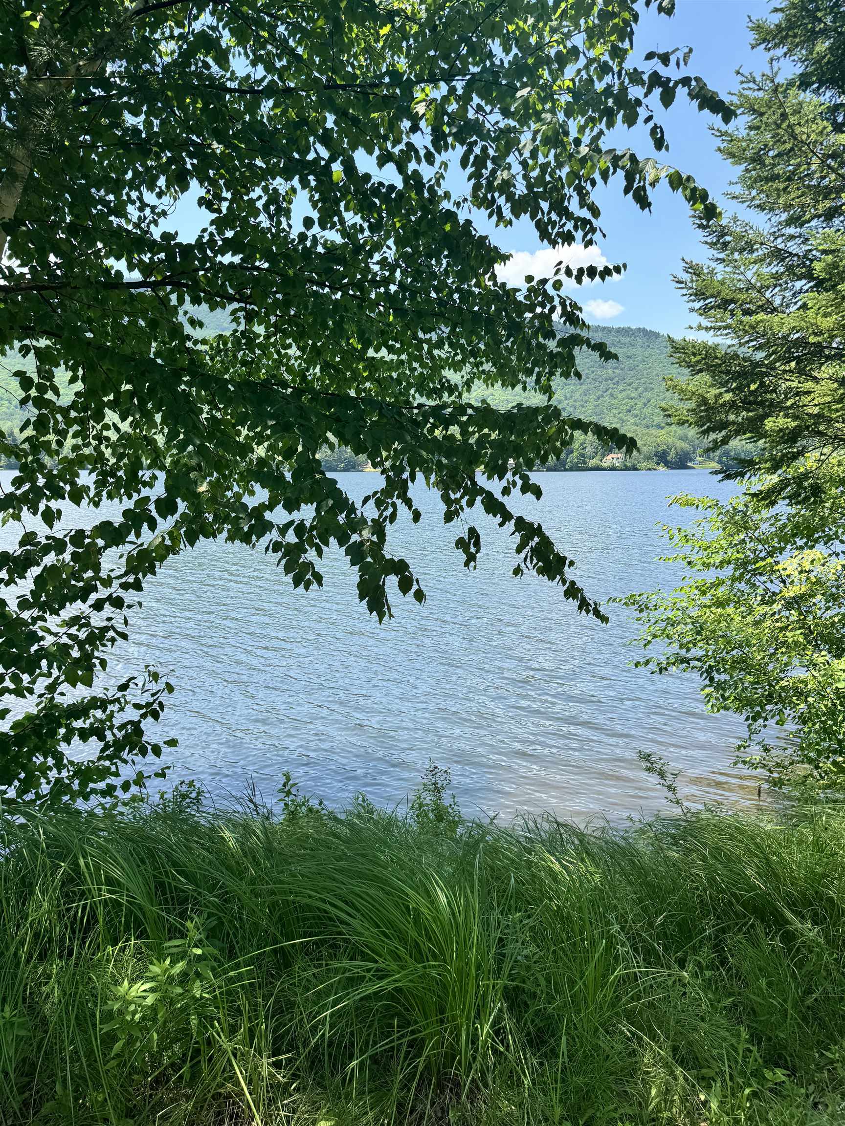 304 Camp Road Elmore, VT 05680 - Photo 6 of 19