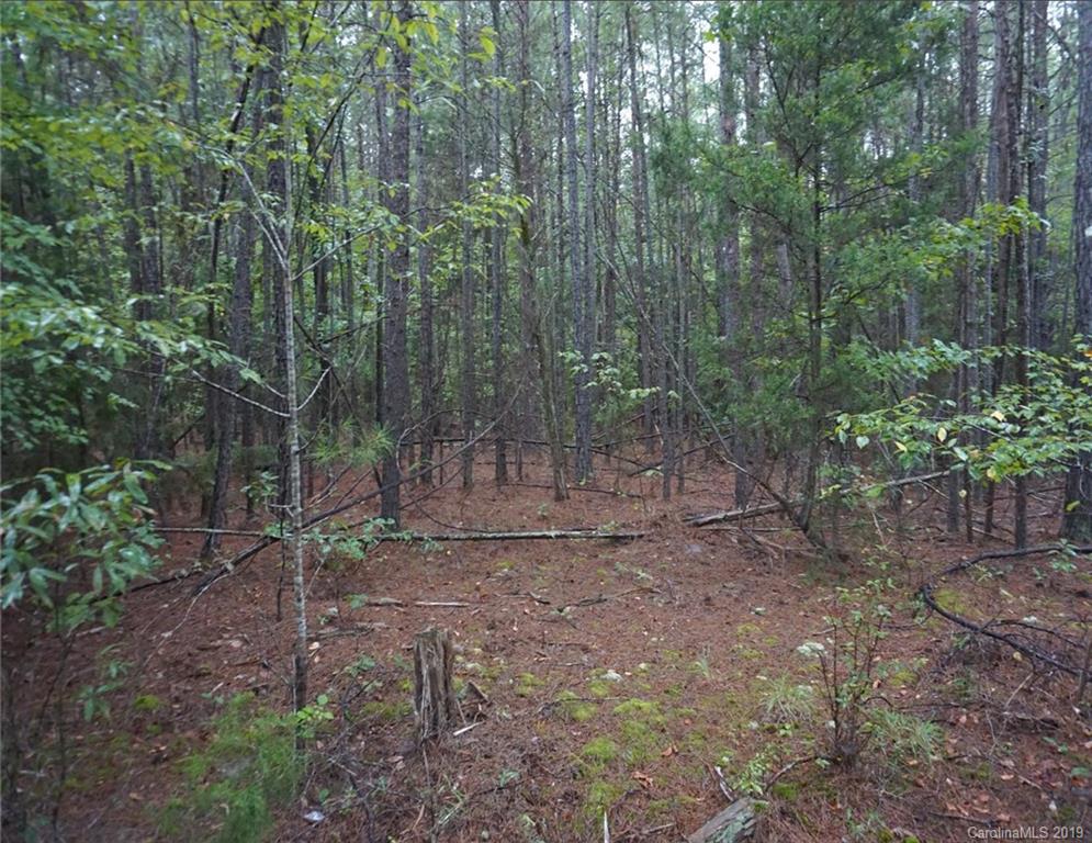 4-ac Wylies Mill Road, Unit 5B Edgemoor, SC 29712 - Photo 1 of 8