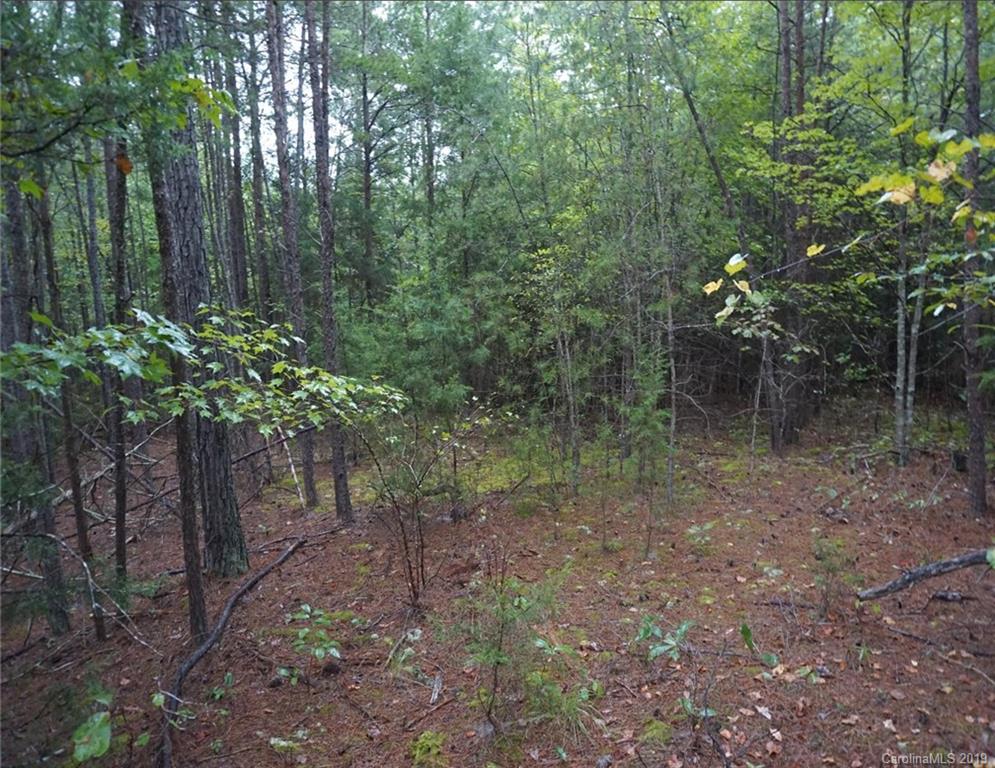 4-ac Wylies Mill Road, Unit 5B Edgemoor, SC 29712 - Photo 2 of 8