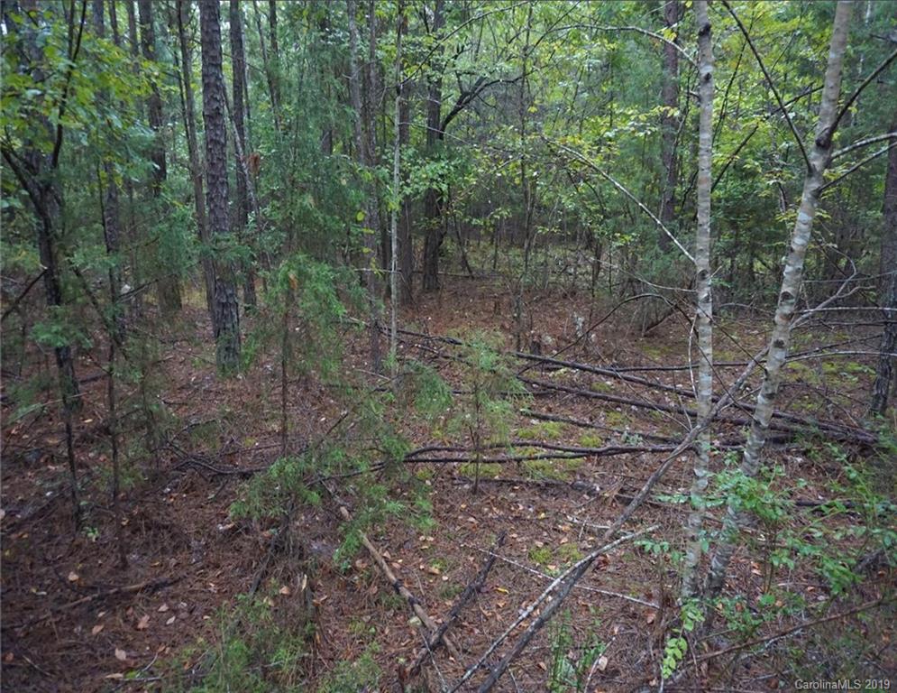 4-ac Wylies Mill Road, Unit 5B Edgemoor, SC 29712 - Photo 3 of 8