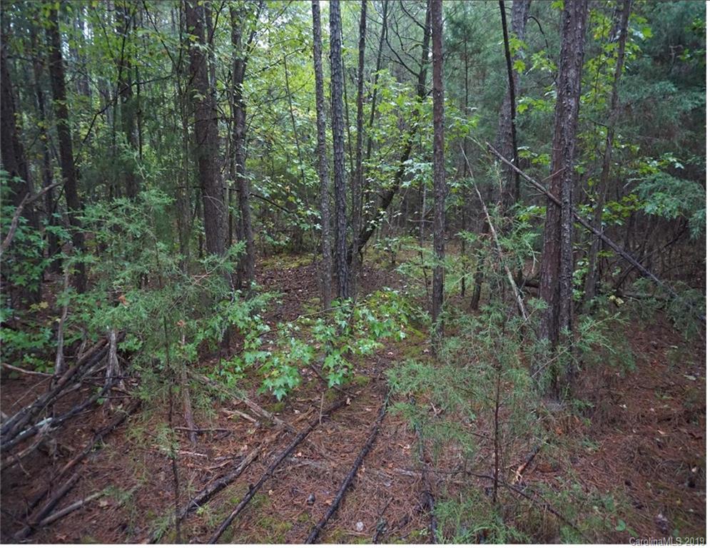 4-ac Wylies Mill Road, Unit 5B Edgemoor, SC 29712 - Photo 4 of 8