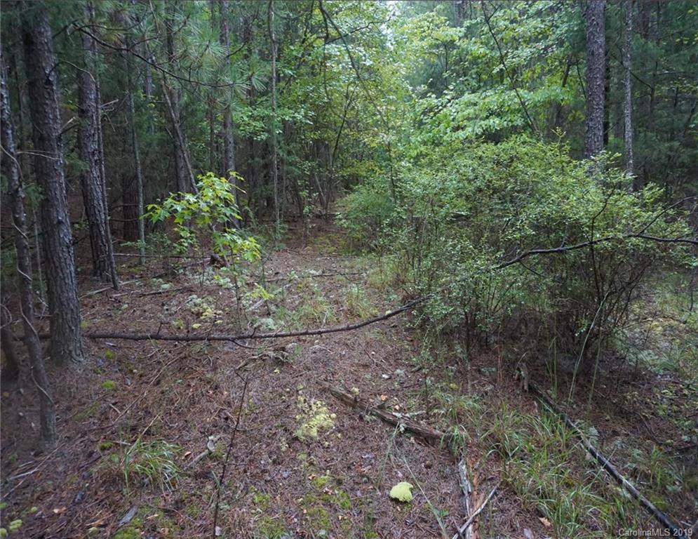 4-ac Wylies Mill Road, Unit 5B Edgemoor, SC 29712 - Photo 5 of 8