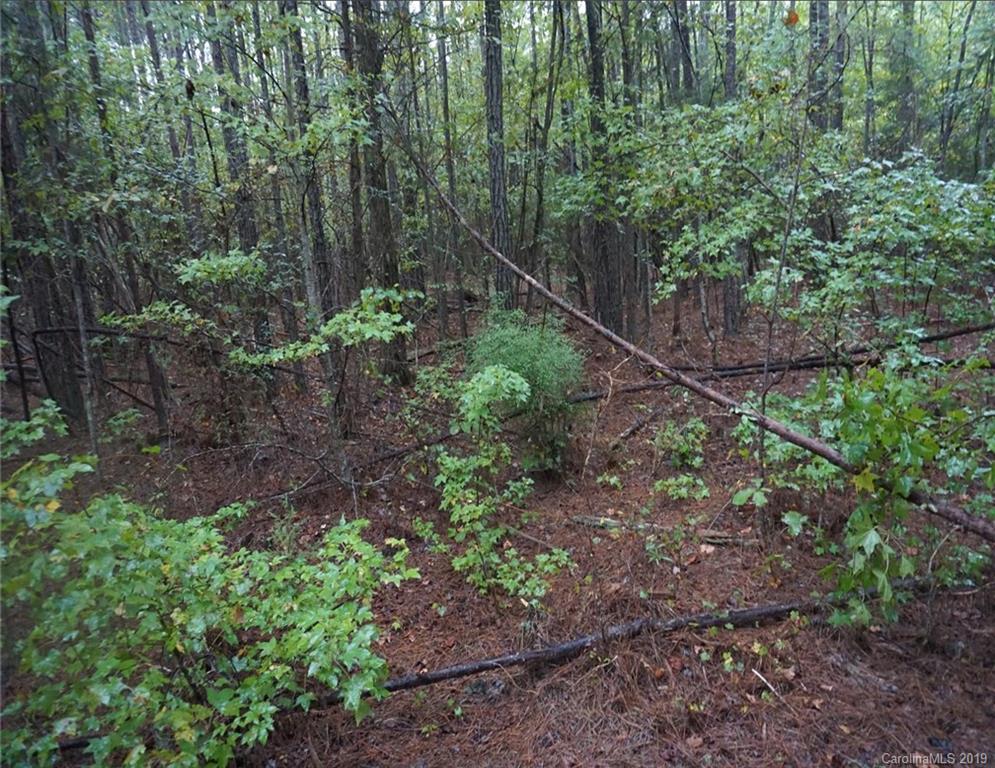 4-ac Wylies Mill Road, Unit 5B Edgemoor, SC 29712 - Photo 6 of 8