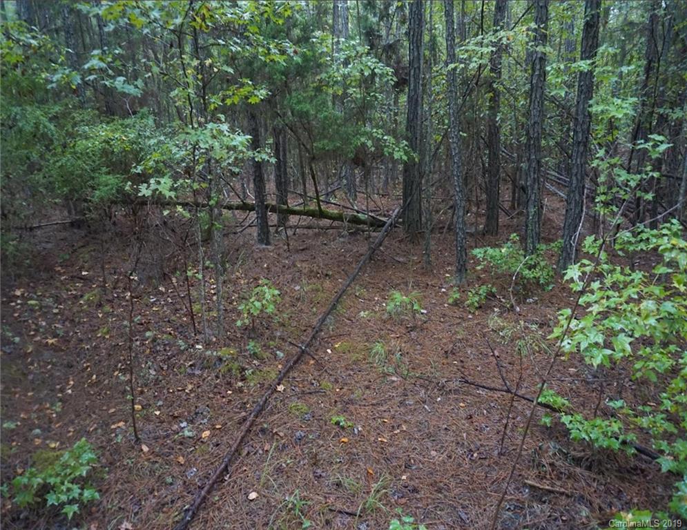 4-ac Wylies Mill Road, Unit 5B Edgemoor, SC 29712 - Photo 7 of 8