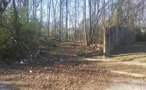 a view of a yard with large trees