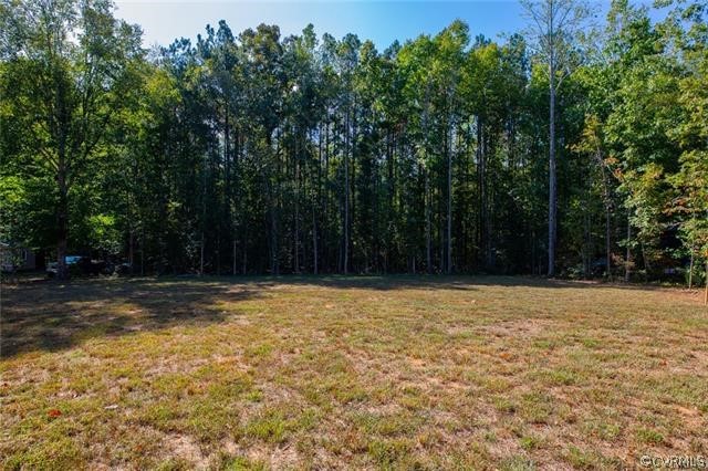 Lot 10 Corte Castle Road Chesterfield, VA 23838 - Photo 31 of 37 a view of a yard with a trees