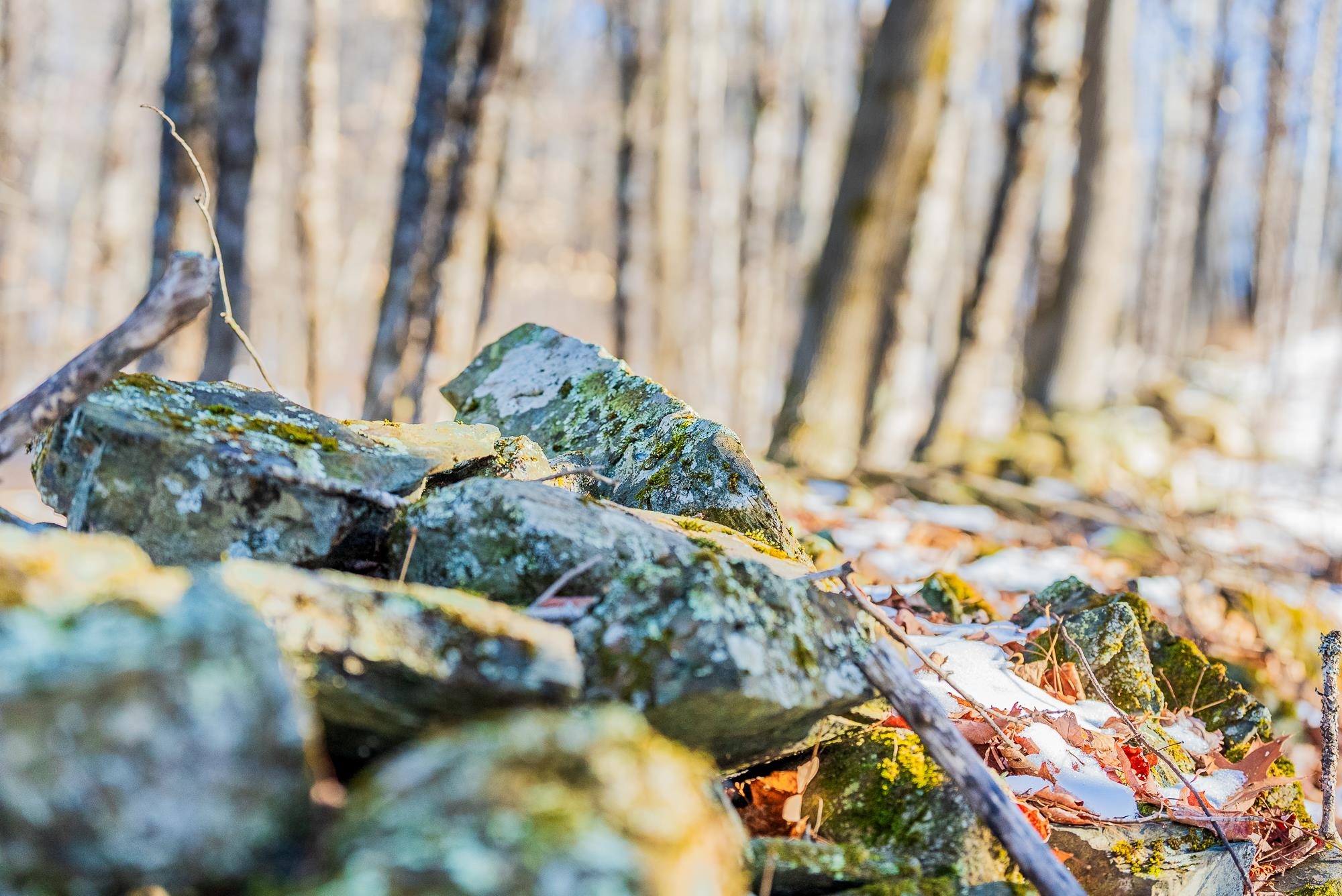 0 Olcott Road Norwich, VT 05055 - Photo 12 of 24