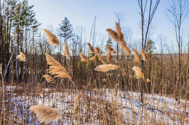 $699,000 | 0 Olcott Road, Norwich, VT 05055