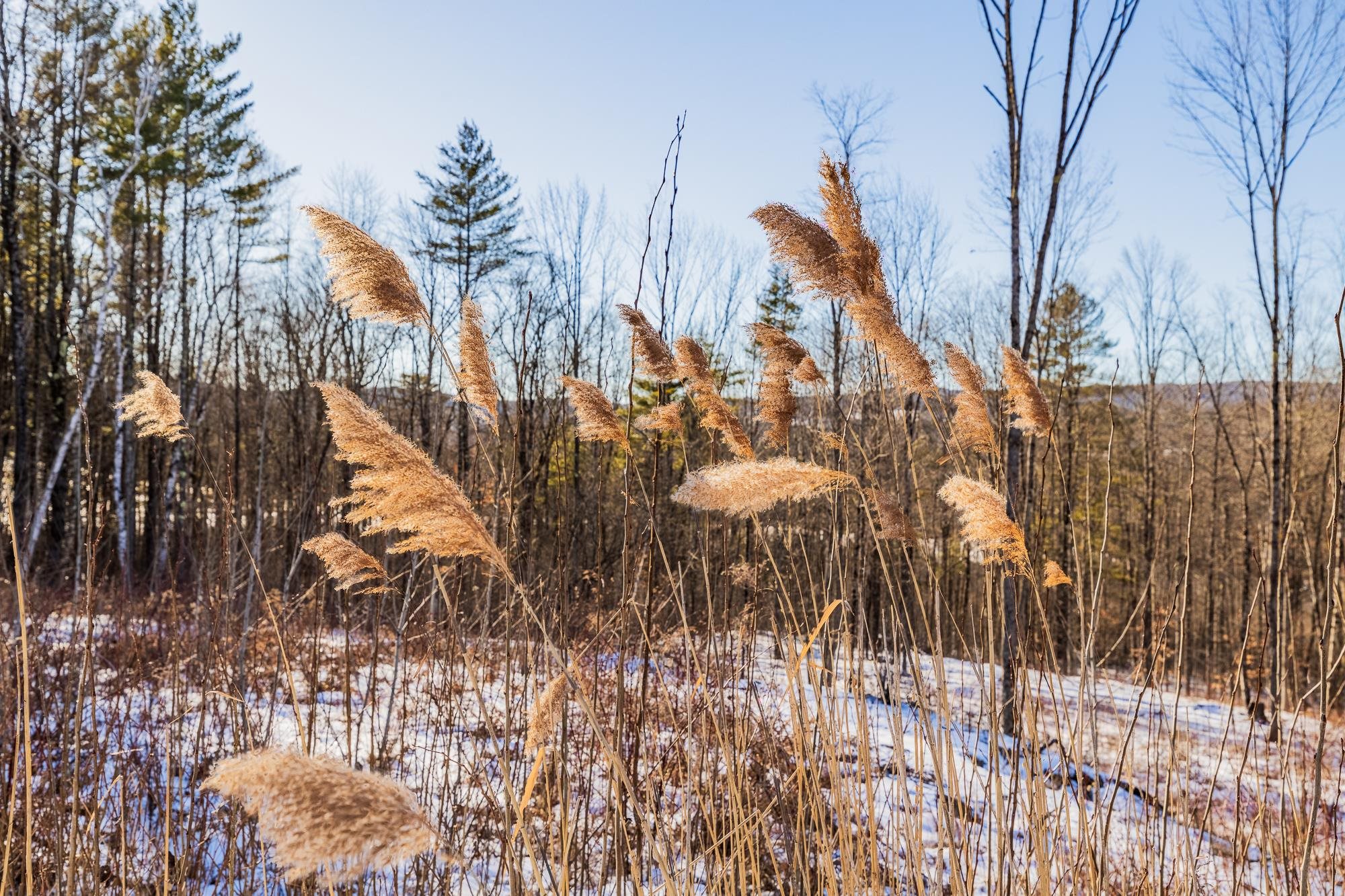 0 Olcott Road Norwich, VT 05055 - Photo 15 of 24