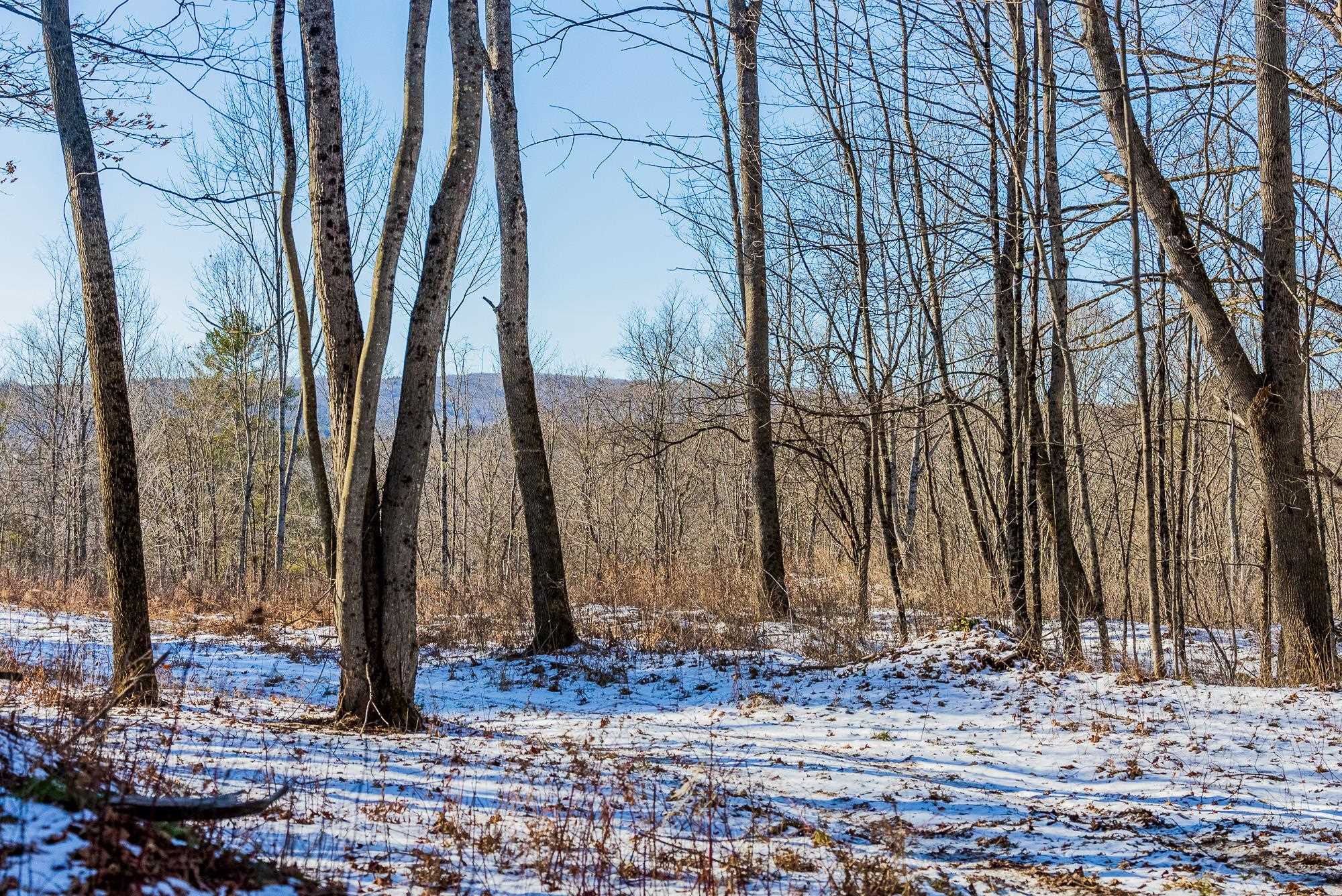 0 Olcott Road Norwich, VT 05055 - Photo 16 of 24