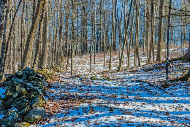 $699,000 | 0 Olcott Road, Norwich, VT 05055