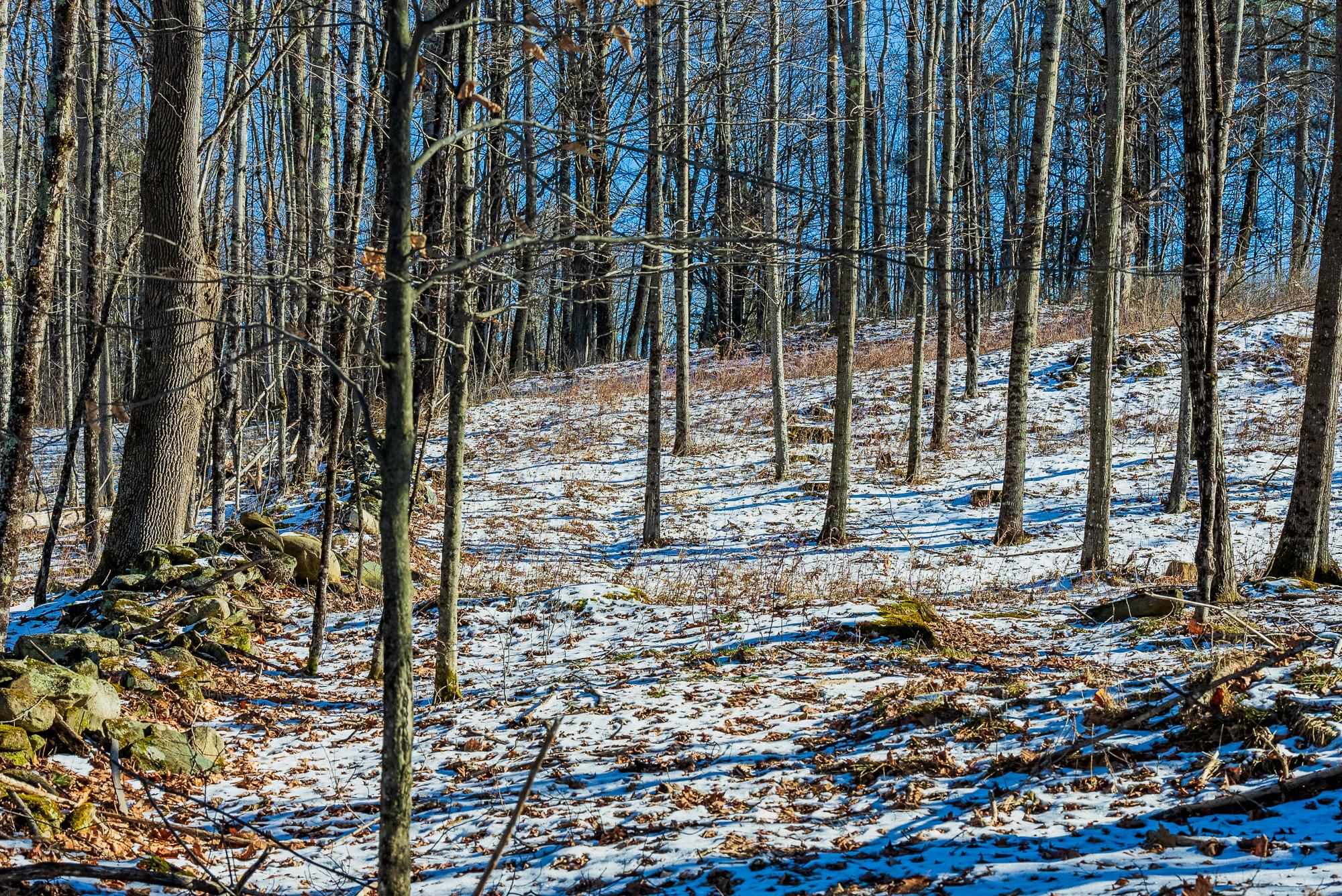 0 Olcott Road Norwich, VT 05055 - Photo 10 of 24
