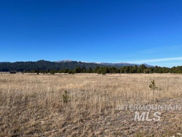 111 Sixty Lane Cascade, ID 83611 - Photo 16 of 50