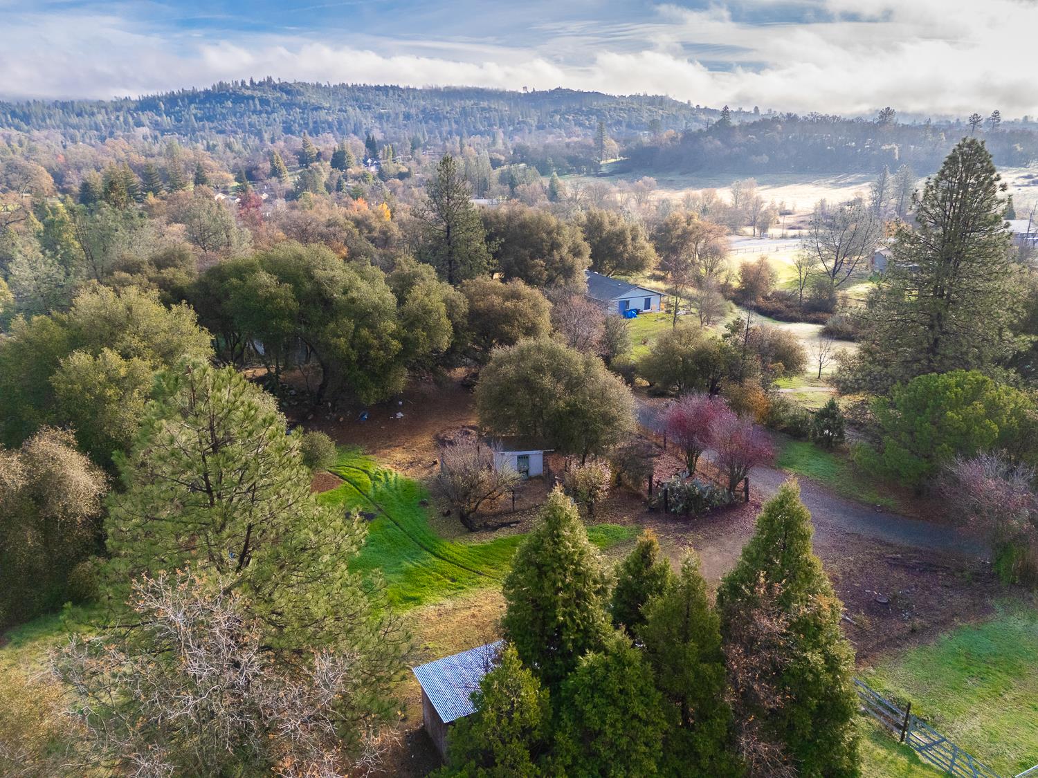 10988 Pleasant Valley Road Penn Valley, CA 95946 - Photo 6 of 90