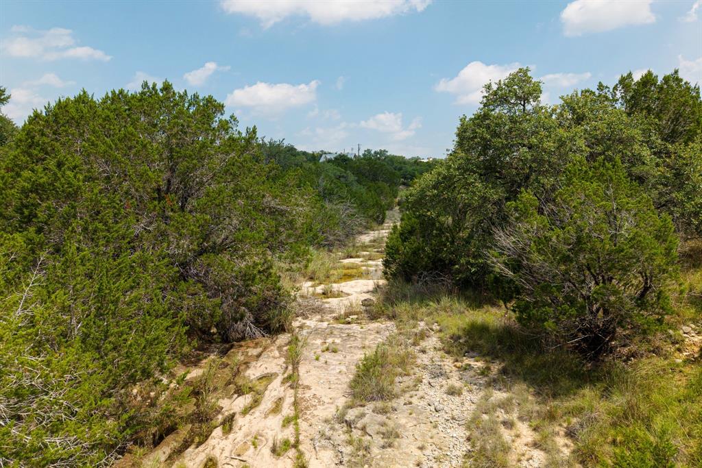 121 Spring Cove Dripping Springs, TX 78620 - Photo 39 of 40